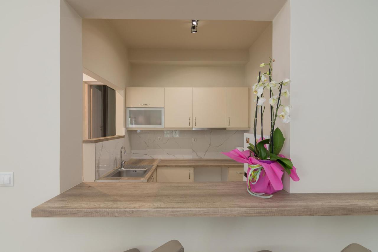 Renovated Panorama Loft: Athens Terrace Gem Apartment Exterior photo